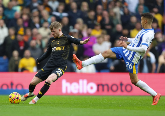 Nhận định bóng đá Wolves vs Brighton: Trở lại mạch thăng hoa