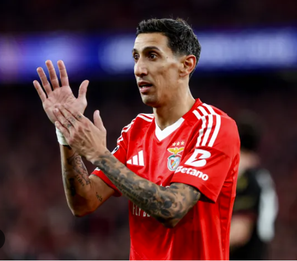 Nhận định, soi tỷ lệ Benfica vs Auckland City: Bữa tiệc bàn thắng