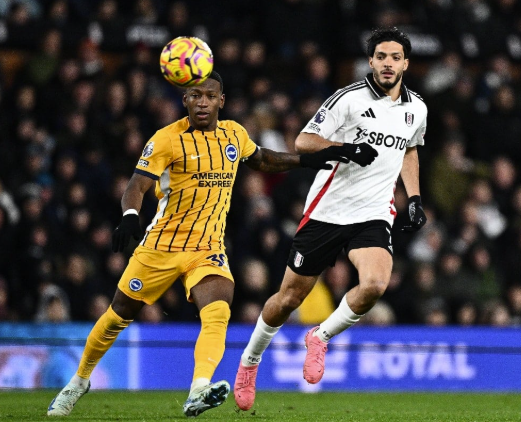 Nhận định, soi kèo Brighton vs Fulham: Chim mòng biển bay cao