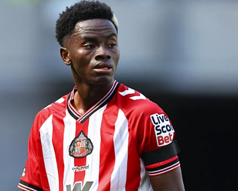 Nhận định, soi kèo Crystal Palace vs Sunderland: Lợi thế sân nhà
