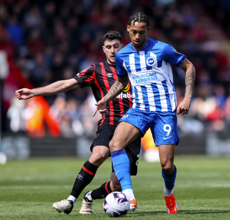Tỷ lệ kèo trận Bournemouth vs Brighton, 21h ngày 13/9, Ngoại hạng Anh