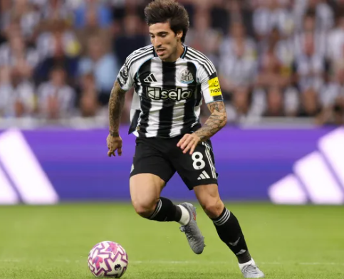 Nhận định, soi kèo Newcastle vs Bradford: Dè chừng hiện tượng