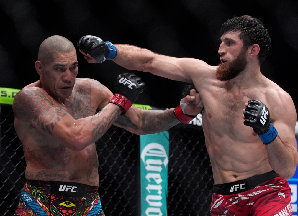 Magomed Ankalaev đáp trả bình luận "hèn hạ" của Alex Pereira
