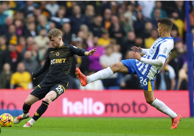 Nhận định, soi kèo Wolves vs Brighton: Điểm tựa sân nhà