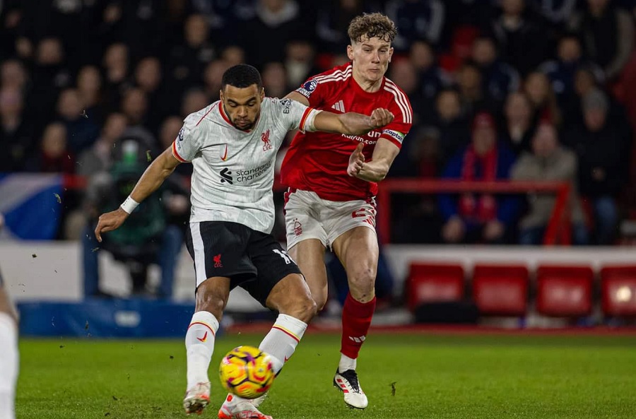 Liverpool vs Nottingham: Dự đoán, tin tức đội bóng, kết quả đối đầu