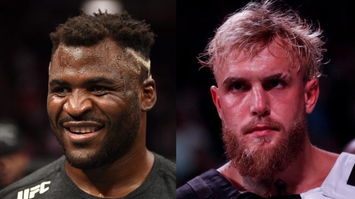 Jake Paul c&ocirc;ng k&iacute;ch Francis Ngannou v&igrave; từ chối: &ldquo;Thật l&agrave; một kẻ ngốc&rdquo;