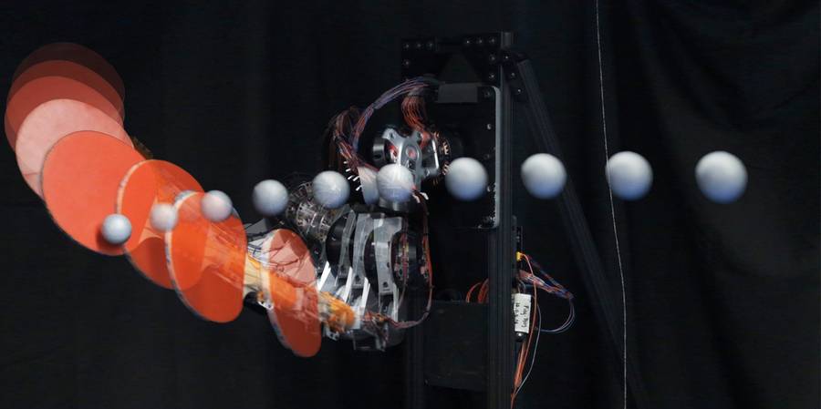 Cách robot chơi bóng bàn mở ra tương lai cho công nghệ cứu hộ thế hệ mới