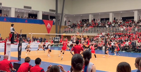 Những bất ngờ tại SV.League nữ Nhật Bản — khi các đội “cửa dưới” biết cách gây sốc