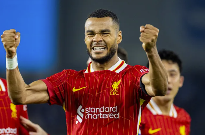 Nhận định, soi kèo Liverpool vs Brighton: Cuộc chiến cân bằng