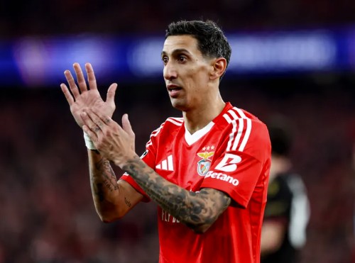 Nhận định, soi kèo Benfica vs Estoril: Giữ vững mạch bất bại sân nhà