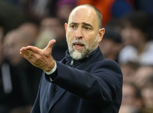 Nhận định, soi kèo Tottenham vs Crystal Palace: Cơ hội giải hạn cho Gà trống