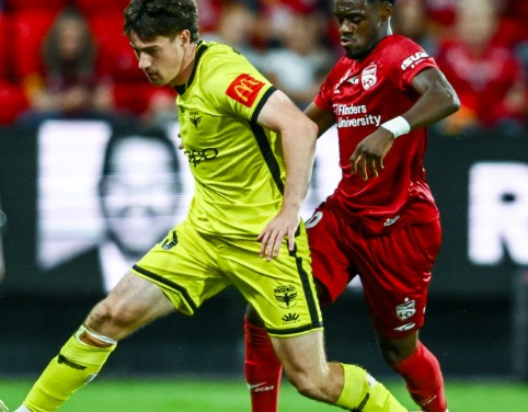 Nhận định, soi kèo Adelaide United vs Wellington Phoenix: Chủ nhà sáng cửa