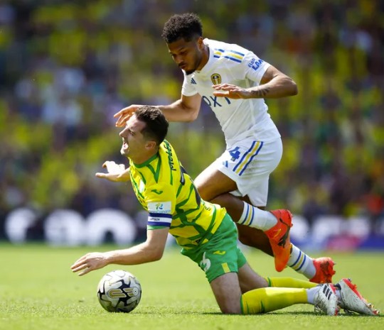 Nhận định, soi kèo Leeds vs Norwich City: Chủ nhà quyết tâm đi tiếp