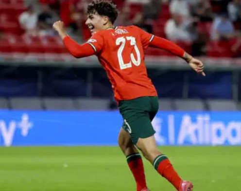 Nhận định, soi kèo U19 Na Uy vs U19 Pháp: Thử thách cực đại