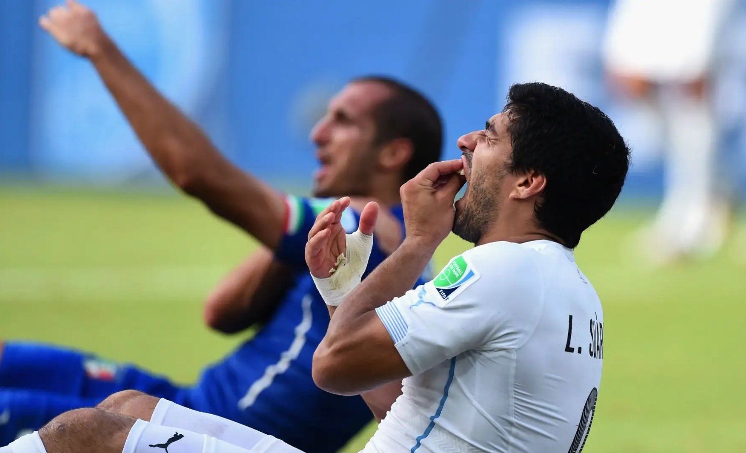 Lần cuối cùng Ý tham dự World Cup là khi nào? Đã bao lâu rồi kể từ lần cuối Azzurri góp mặt? Lần cuối cùng Ý tham dự World Cup là khi nào? Đã bao lâu rồi kể từ lần cuối Azzurri góp mặt?