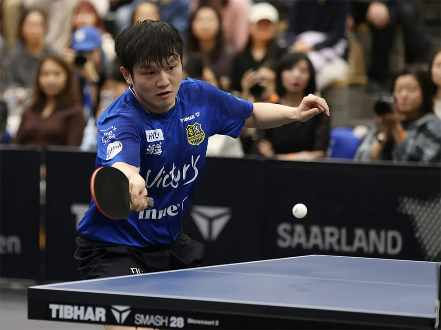 Chuyên gia châu Âu phát biểu gây tranh cãi: “Không có Fan Zhendong, bóng bàn nam Trung Quốc khó giữ vị thế”