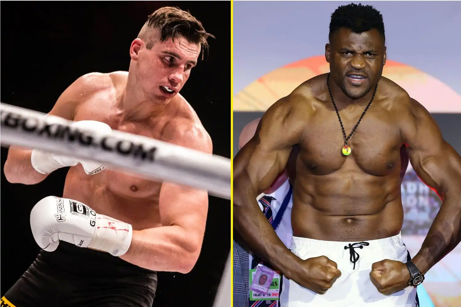 Jake Paul đề xuất trận chiến thế kỷ giữa "Vua Kickboxing" Rico Verhoeven và Francis Ngannou