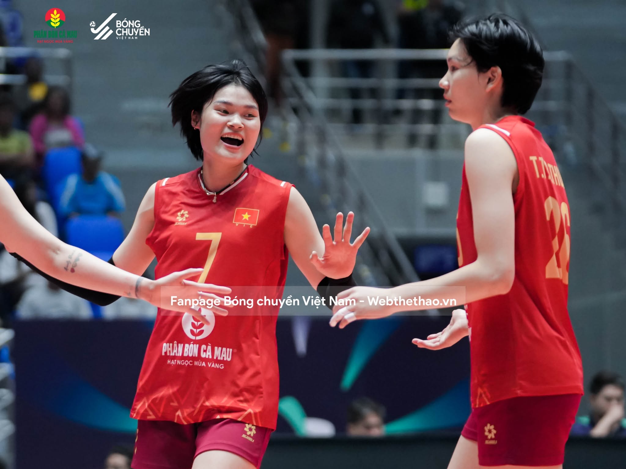 Link trực tiếp giải bóng chuyền AVC Cup hôm nay 11/6: Việt Nam vs Iran