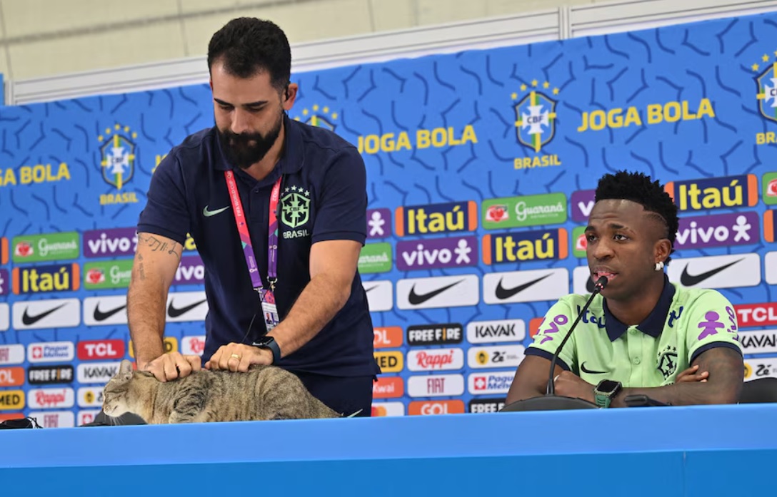 “Lời nguyền của con mèo”: giả thuyết được nhắc lại sau khi Brazil bị Na Uy loại khỏi World Cup