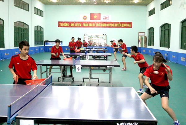 Cho thôi tập huấn 2 HLV liên quan đến vụ bữa ăn của VĐV đội tuyển bóng bàn trẻ