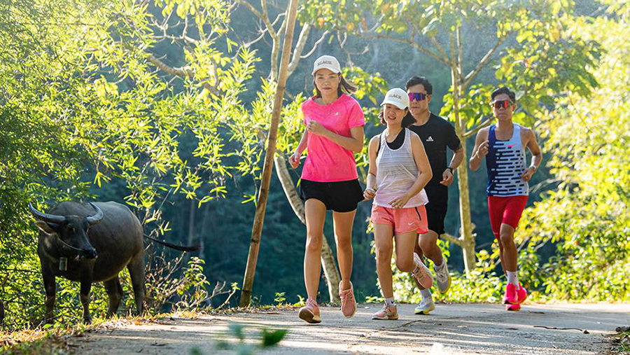 Về miền ph&aacute;o đ&agrave;i hoa chạy Điện Bi&ecirc;n Phủ Marathon 2024