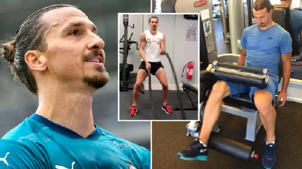 Ibrahimovic nhận lời đề nghị bất ngờ từ các nhà khoa học