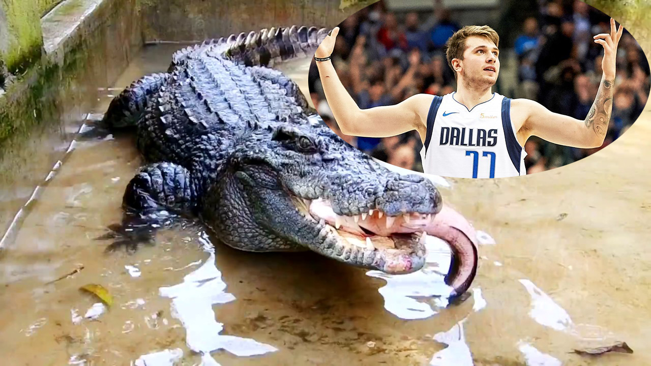 Luka Doncic đặt mục tiêu hạ gục một con... cá sấu!