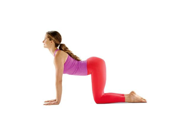 Các bài tập Yoga cơ bản tại nhà cho người mới tập