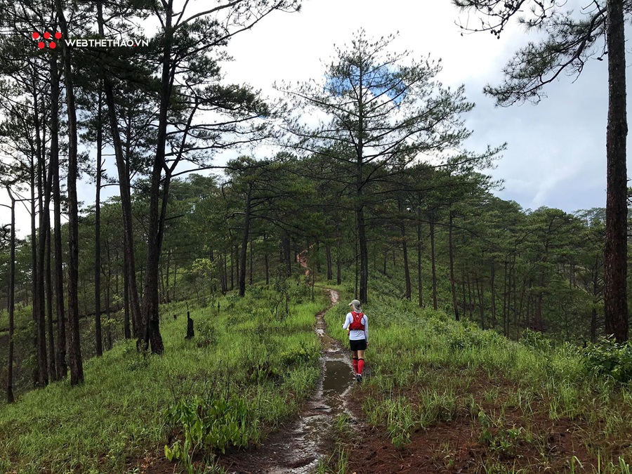 Thử thách sức chịu đựng với đường chạy Dalat Ultra Trail 2020 mùa mưa trắng trời