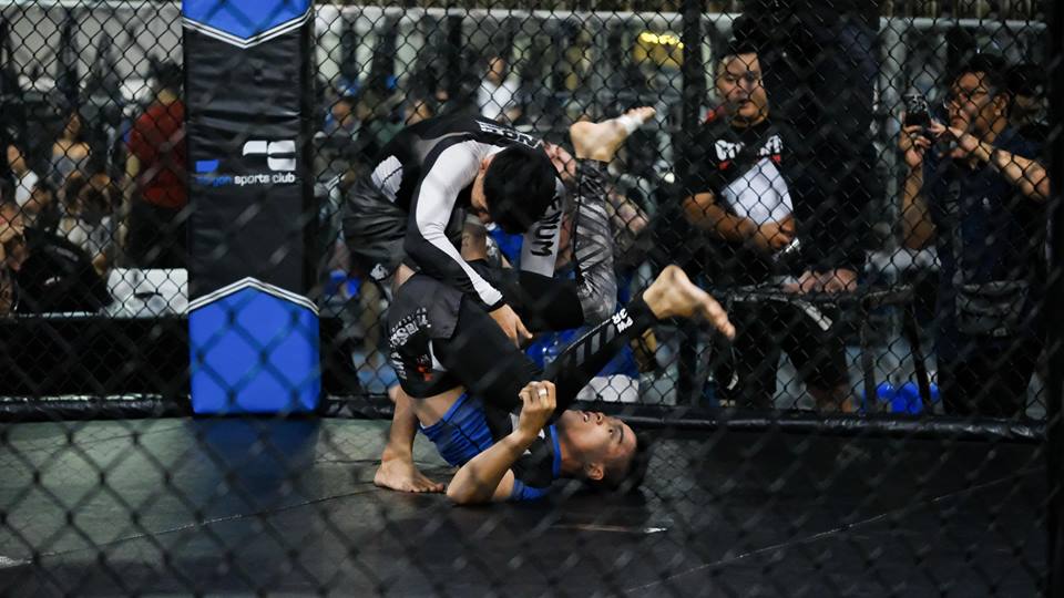 Chiều nay, Đại hội thành lập Liên đoàn MMA Việt Nam