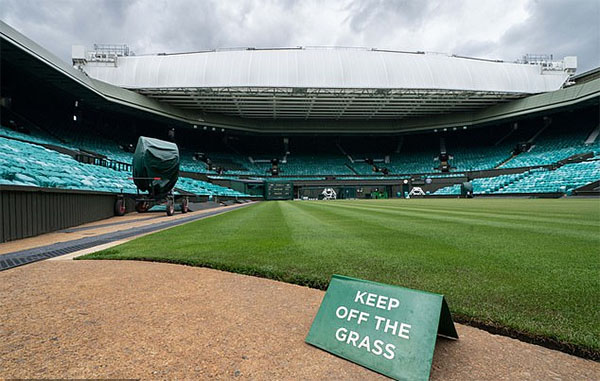 BTC Wimbledon 2020 gây sốc: Vẫn trả thưởng dù các tay vợt không đấu!