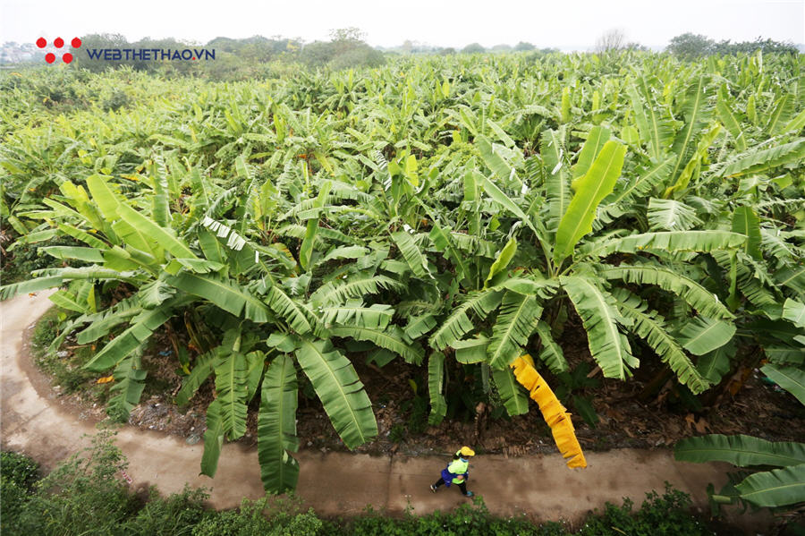 Những hình ảnh đẹp mãn nhãn về Hanoi City Trail 2019