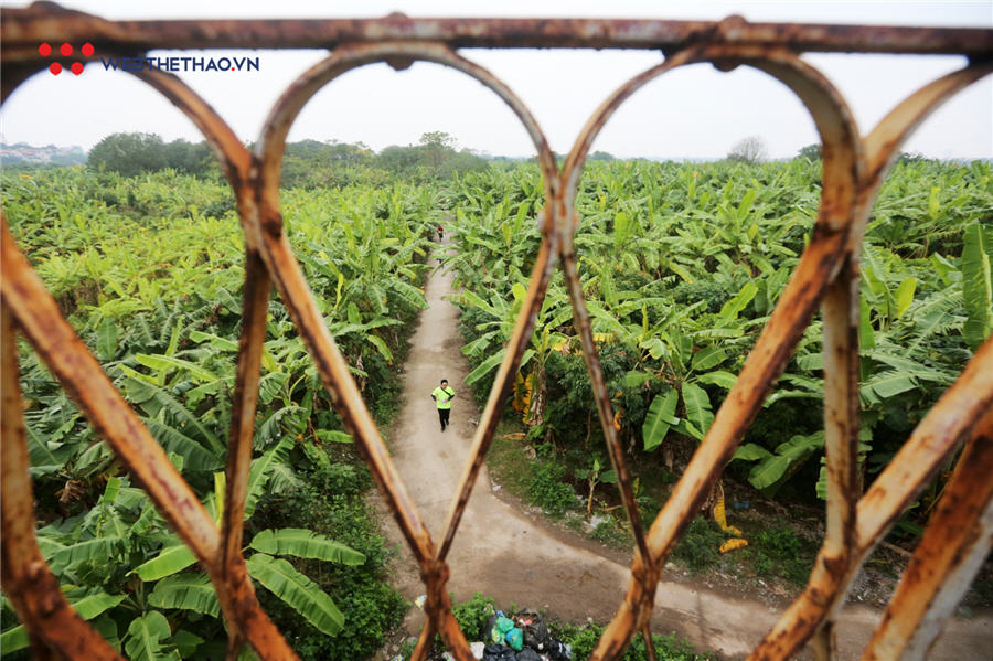 Những hình ảnh đẹp mãn nhãn về Hanoi City Trail 2019