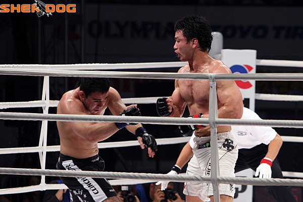 MMA - Võ tổng hợp, nhưng lại có đặc trưng riêng không thuộc môn võ nào! (Phần 2)
