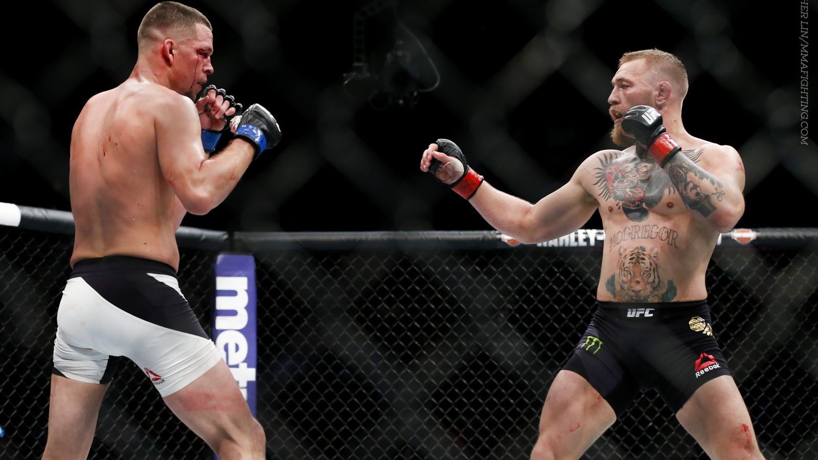 MMA - Võ tổng hợp, nhưng lại có đặc trưng riêng không thuộc môn võ nào! (Phần kết)