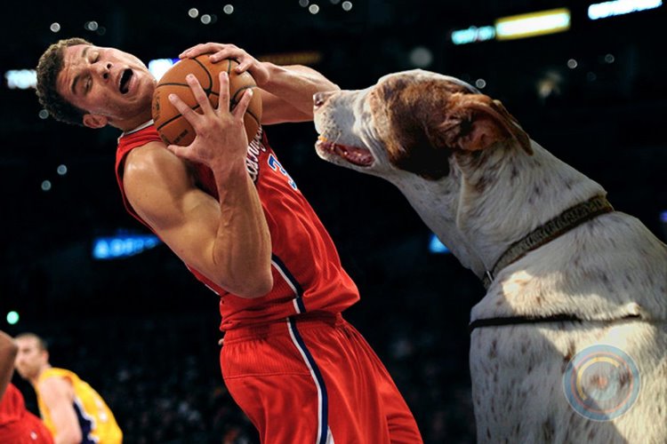 Chó yêu gây họa, Blake Griffin đứng trước nỗi buồn hao tiền đầu năm