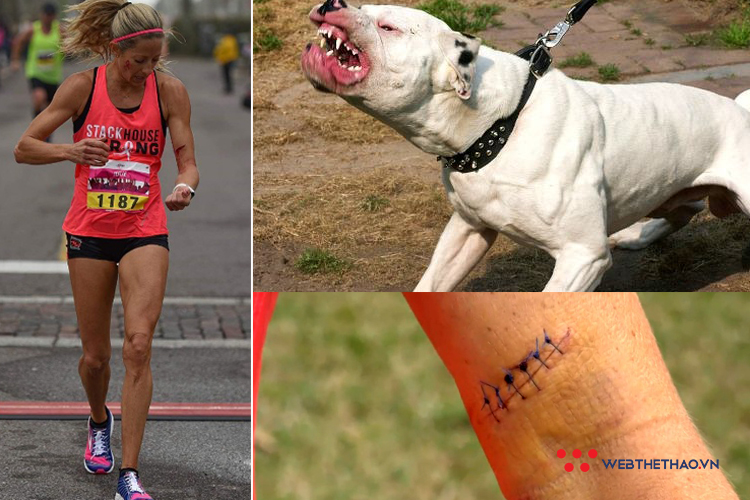 Nữ runner chạy trối chết vì bị chó pitbull hơn 36kg tấn công ở giải bán marathon
