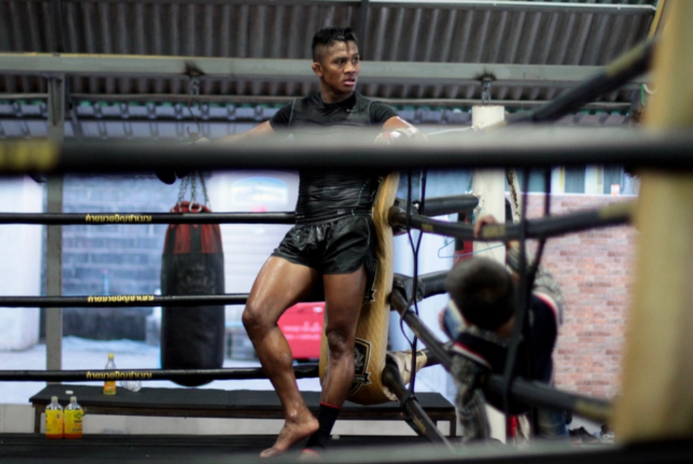 Buakaw - Niềm tự hào của người dân Surin Buakaw - Niềm tự hào của người dân Surin