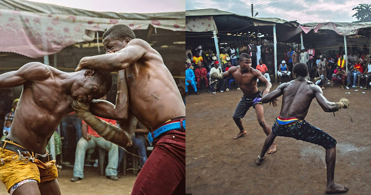 Dambe boxing: Môn võ bạo tàn của người Tây Phi