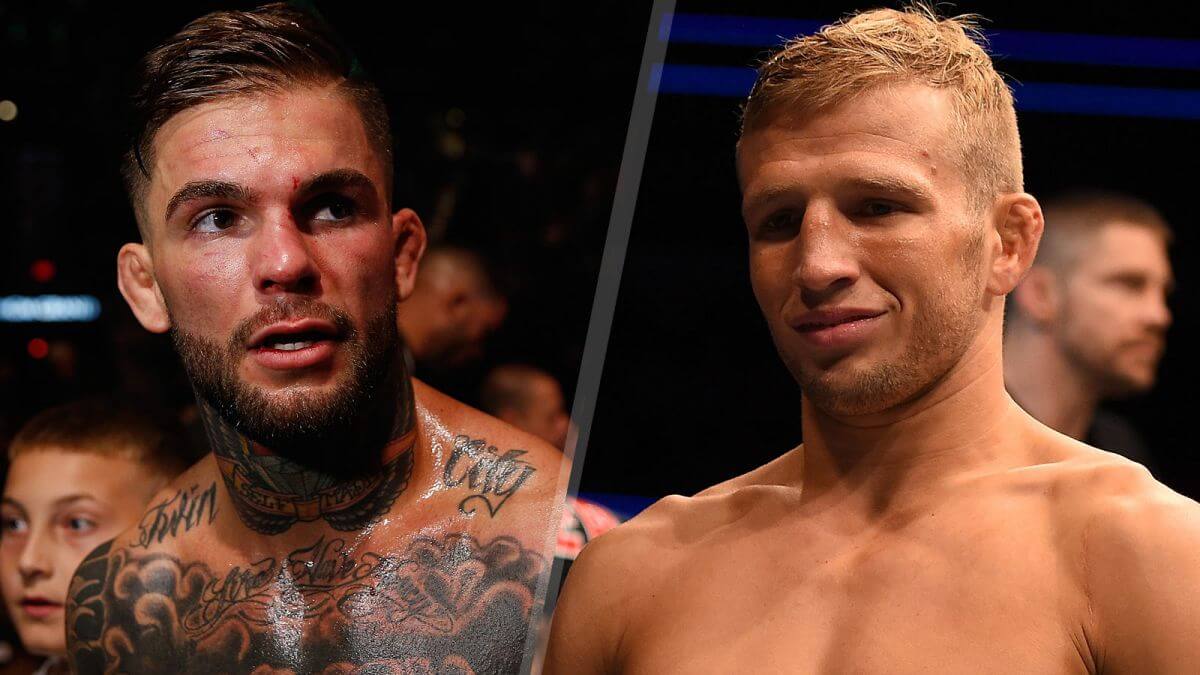 Cody Garbrandt 'phang' TJ Dillashaw thẳng tay trên Twitter sau vụ chất cấm