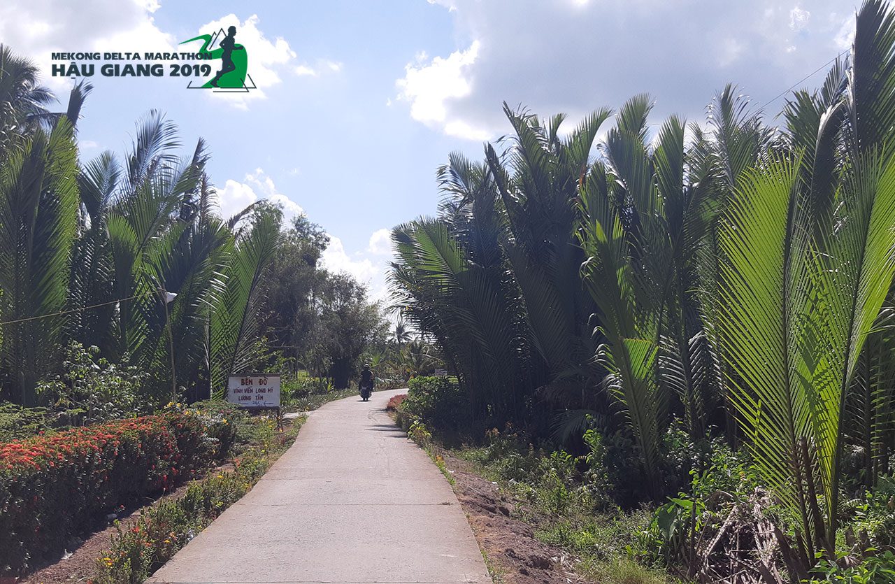 Mekong Delta Marathon 2019 - Giải chạy chống biến đổi khí hậu đầu tiên tại Việt Nam