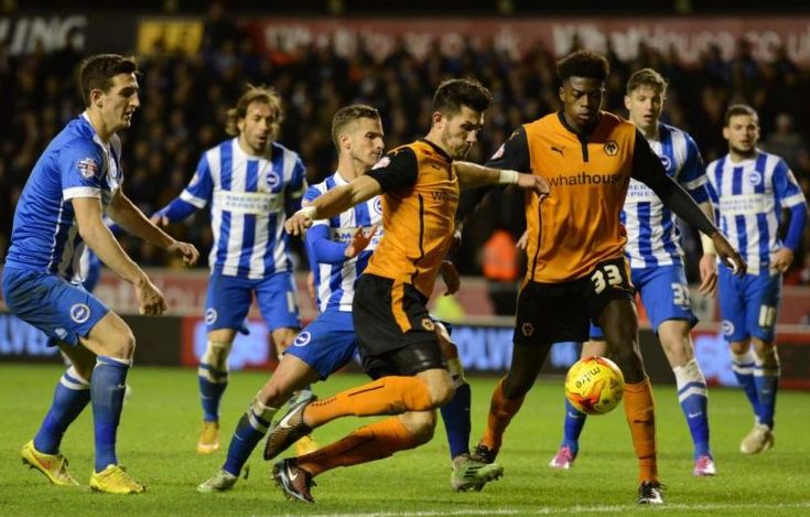 Phân tích tỷ lệ Wolves vs Brighton 21h00, 20/04 (vòng 35 Ngoại hạng Anh)