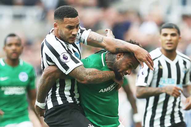Nhận định Brighton vs Newcastle 23h30, 27/04 (vòng 36 Ngoại hạng Anh)