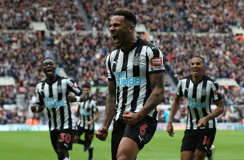 Nhận định, dự đoán Fulham vs Newcastle 21h00, 12/05 (vòng 38 Ngoại hạng Anh)