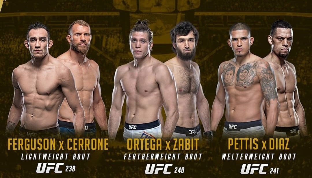 Top 3 trận đấu UFC đáng kỳ vọng nhất hè 2019