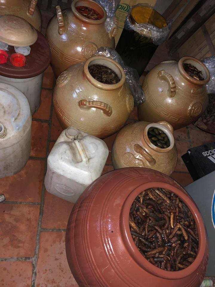 Rượu thuốc của dân võ: Từ “thánh thủy” đến độc dược