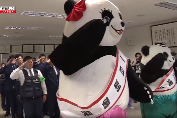 Sốc không, cảnh gấu panda cụng đầu làm cảnh sát khuỵu gối?
