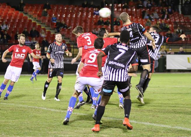 Nhận định, dự đoán Melbourne Knights vs Avondale 16h45, 27/05 (sơ loại cúp quốc gia Australia)