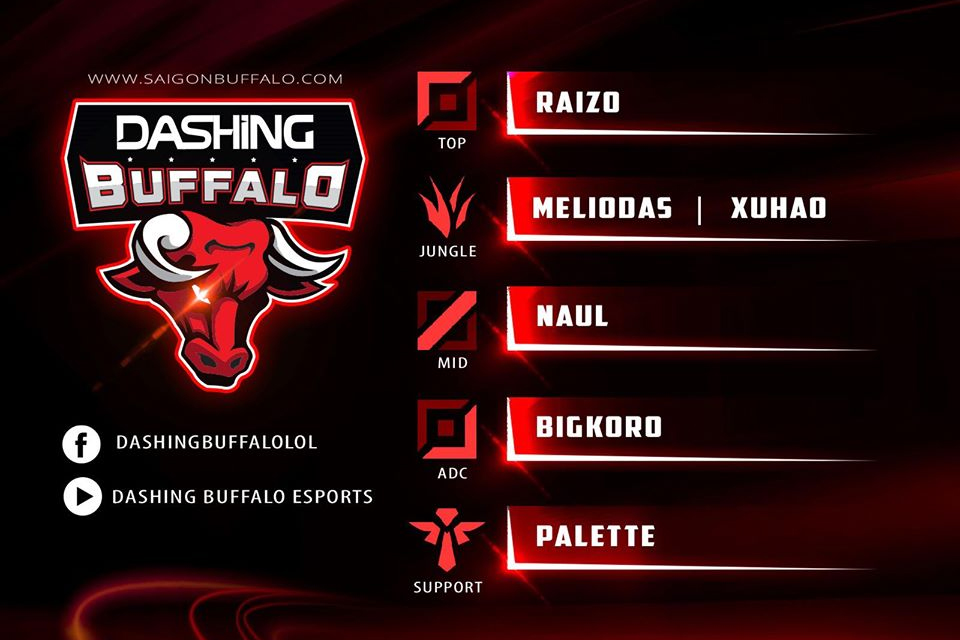 Phong Vũ Buffalo đổi tên thành Dashing Buffalo, công bố đội hình mới