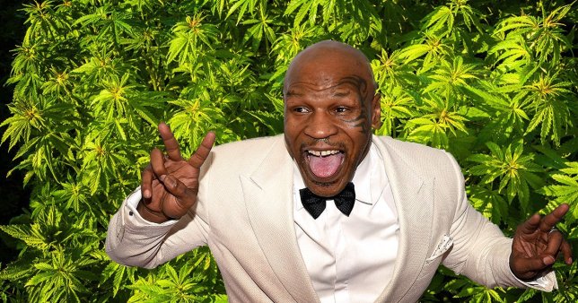 Huyền thoại boxing Mike Tyson đang xây dựng một đế chế cần sa